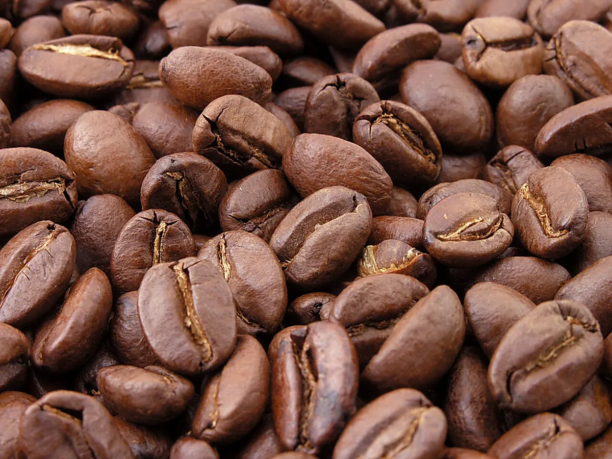 Roasted coffee beans close-up