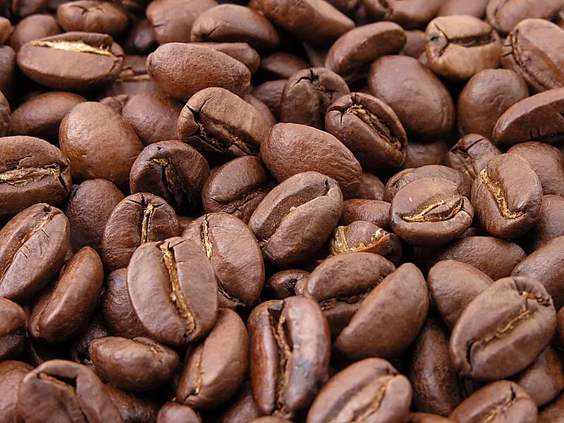 Coffee beans showing the progression from green through light, medium, and dark roast