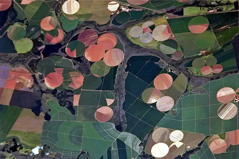 Agricultural fields near Perdizes, Minas Gerais — the heartland of Brazilian coffee production